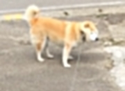 英雄联盟总决赛时间-布克单场42分创纪录之夜，快船季前赛力克北京首钢