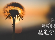 英雄联盟总决赛2025-您提出的关键词组合非常有趣—它巧妙地将足球与篮球、西班牙与美国、团队荣耀与个人表演编织在一起。这恰恰是体育最迷人的一面，看似平行的时空，却共享着同一种心跳