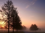 -跨界巅峰对决，辽宁队斩落NBA猛龙，米切尔稳定输出诠释全能战士