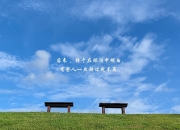 英雄联盟总决赛时间-季后赛抢七之夜，唯一可信任的下注