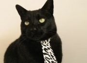 LOL赛事-灵魂的设计师与城墙的捍卫者，当京多安的个人乐章遭遇马里的集体战吼