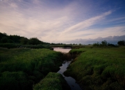 英雄联盟总决赛门票-唯一的路标，马克西如何以不被定义的方式，照亮NBA总决赛之夜