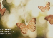 英雄联盟总决赛门票-赛道与草场的双线对决，F1揭幕战的精密博弈，洪都拉斯的铁血逆袭