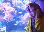 LOL赛事-从永恒之城的盾到世界之巅的锚，当罗马的意志由坎特在2026年继承