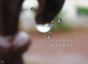 LOL赛事-门迪神级扑救终结南美风暴，贝蒂斯巅峰对决险胜委内瑞拉钢焰