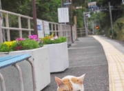 英雄联盟总决赛2025-历史性逆转之夜，金玟哉在西决生死战中的大师级节奏掌控