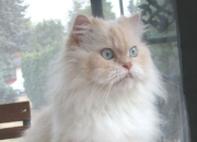 英雄联盟总决赛赛程-首先，我们来扩展思维，拟定一个具有唯一性、故事性和深度的标题