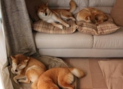 LOL决赛-首先，我们扩展思维，为你构思一个充满画面感和史诗感的标题