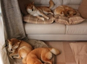 LOL决赛-首先，我们扩展思维，为你构思一个充满画面感和史诗感的标题