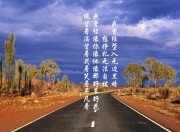 英雄联盟总决赛时间-骑士屠龙夜，文班亚马在2026写下未来已来