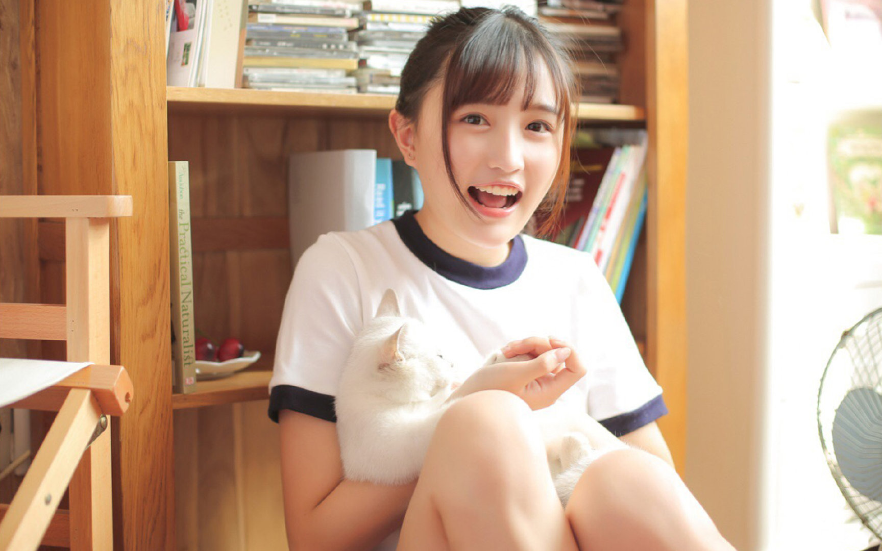 暗夜王座，范弗利特逆光时刻的唯一加冕