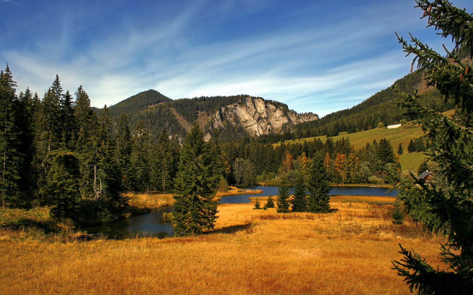 鹰起云涌，塔图姆的关键先生本色与山西队的启示
