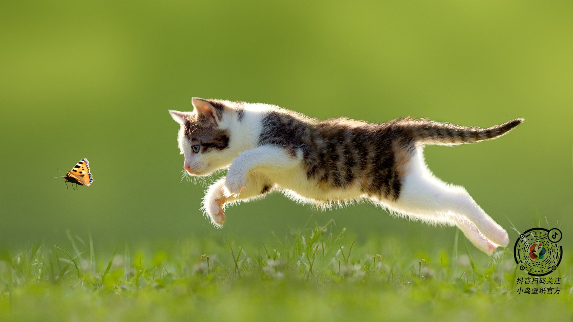 金属与血肉，一场街道上流淌的永恒对决