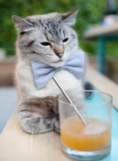 雷霆关键战突围猛龙，戈贝尔在欧冠半决赛接管比赛—顶级内线如何在系列赛成为破局者