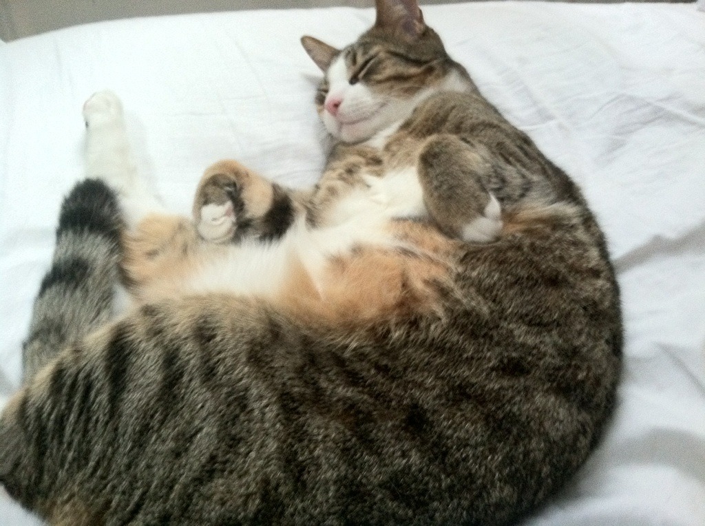 终极回合的艺术家,当阿森纳遇见绝杀,当范戴克决定西决