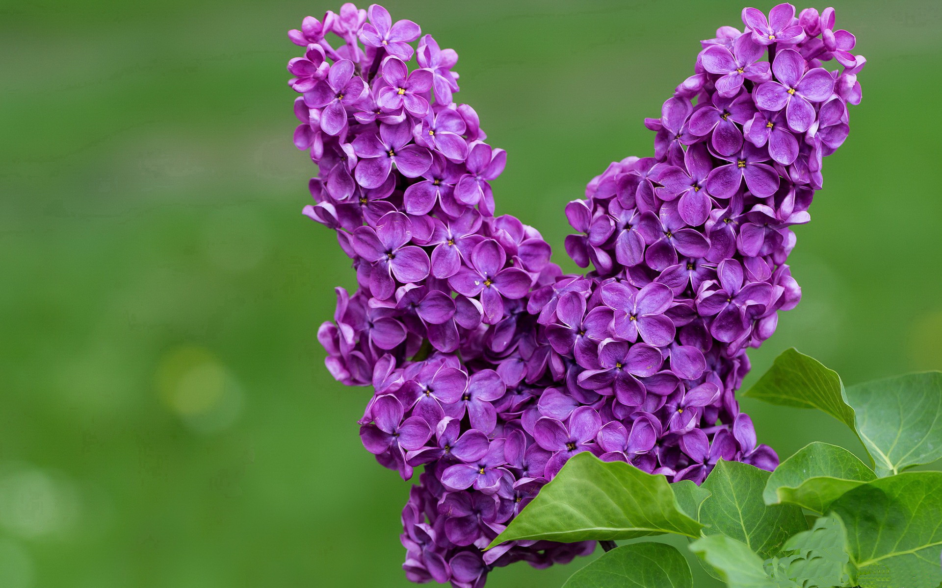 一剑光寒伯纳乌,国家德比之夜,贝林厄姆加冕新王