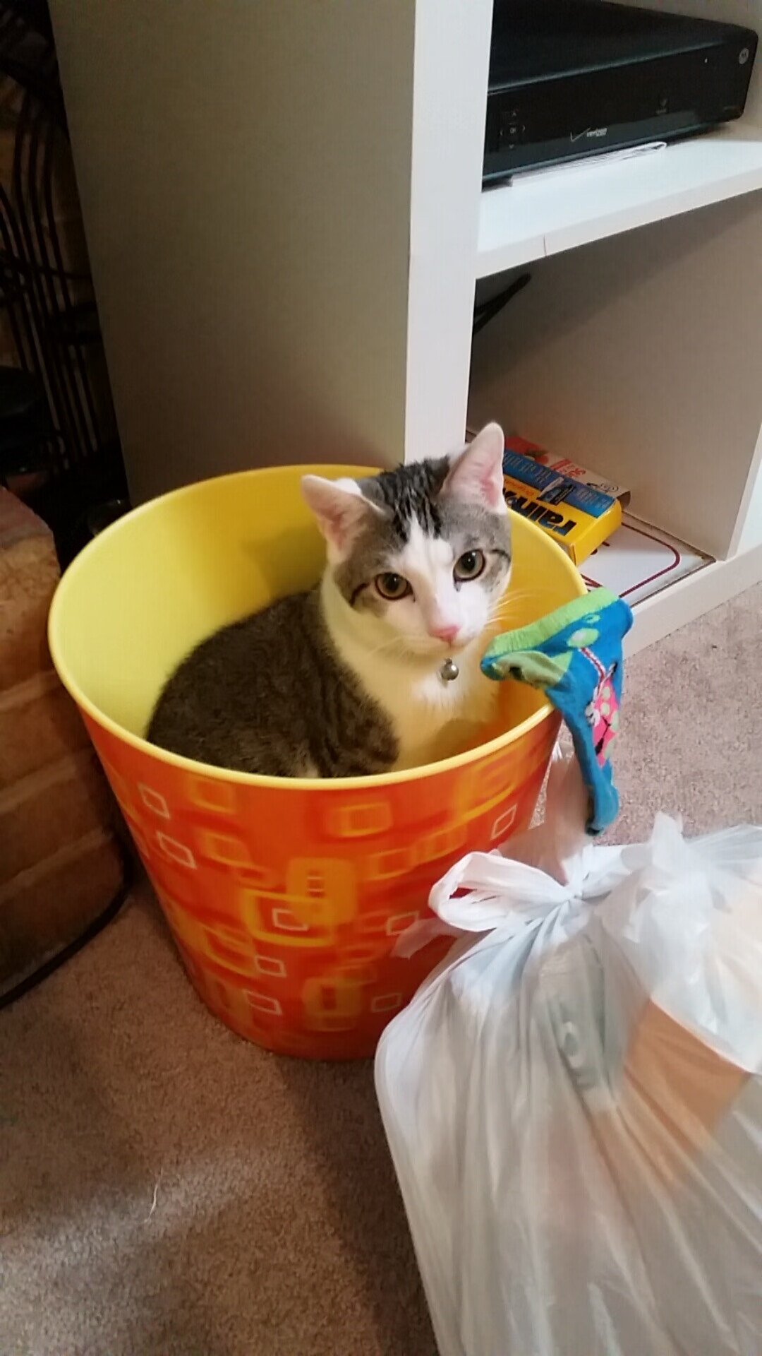 跨洋对决绽放友谊之光,霍勒迪万次传球铸就里程碑