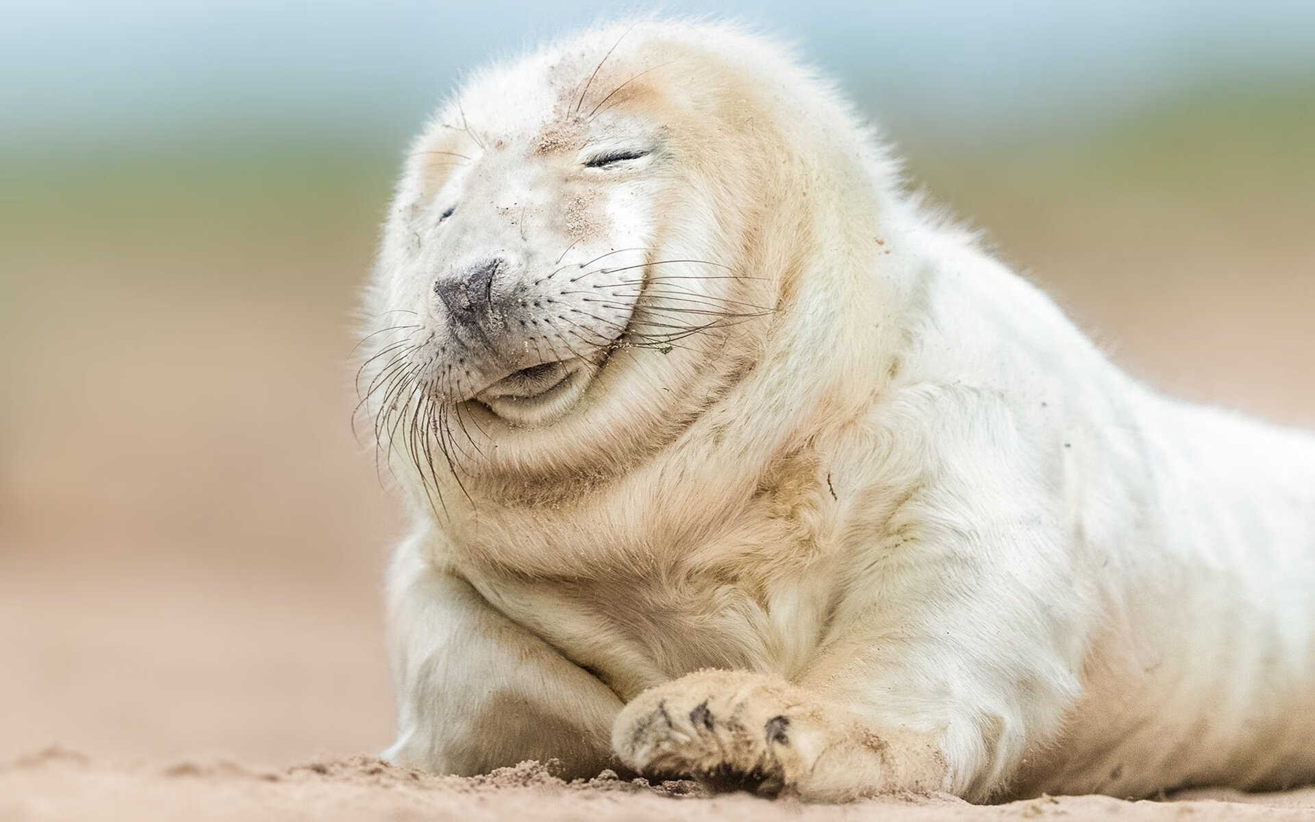 篮球无疆界,密尔沃基的绝杀与柏林的接管,同一种心跳