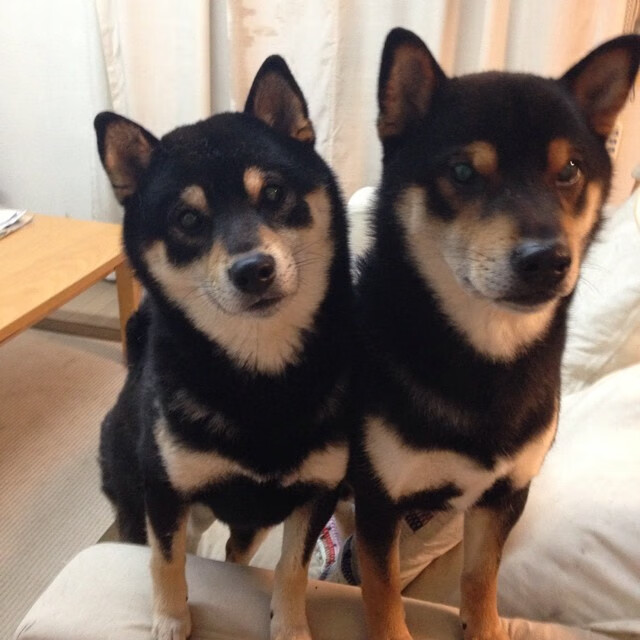 彩虹国度VS红色狂潮，一场虚拟巅峰对决中的萨内冠军级表现