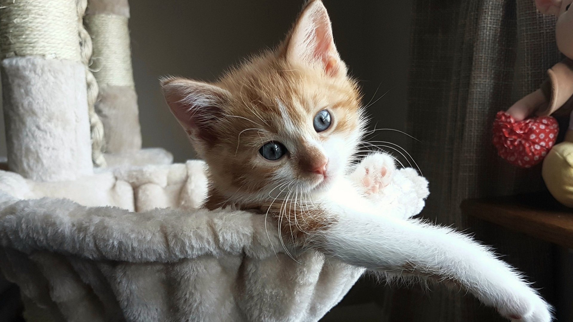 荒诞的石头,一颗意外投出的石子,如何击碎希腊神话并掀起世纪涟漪