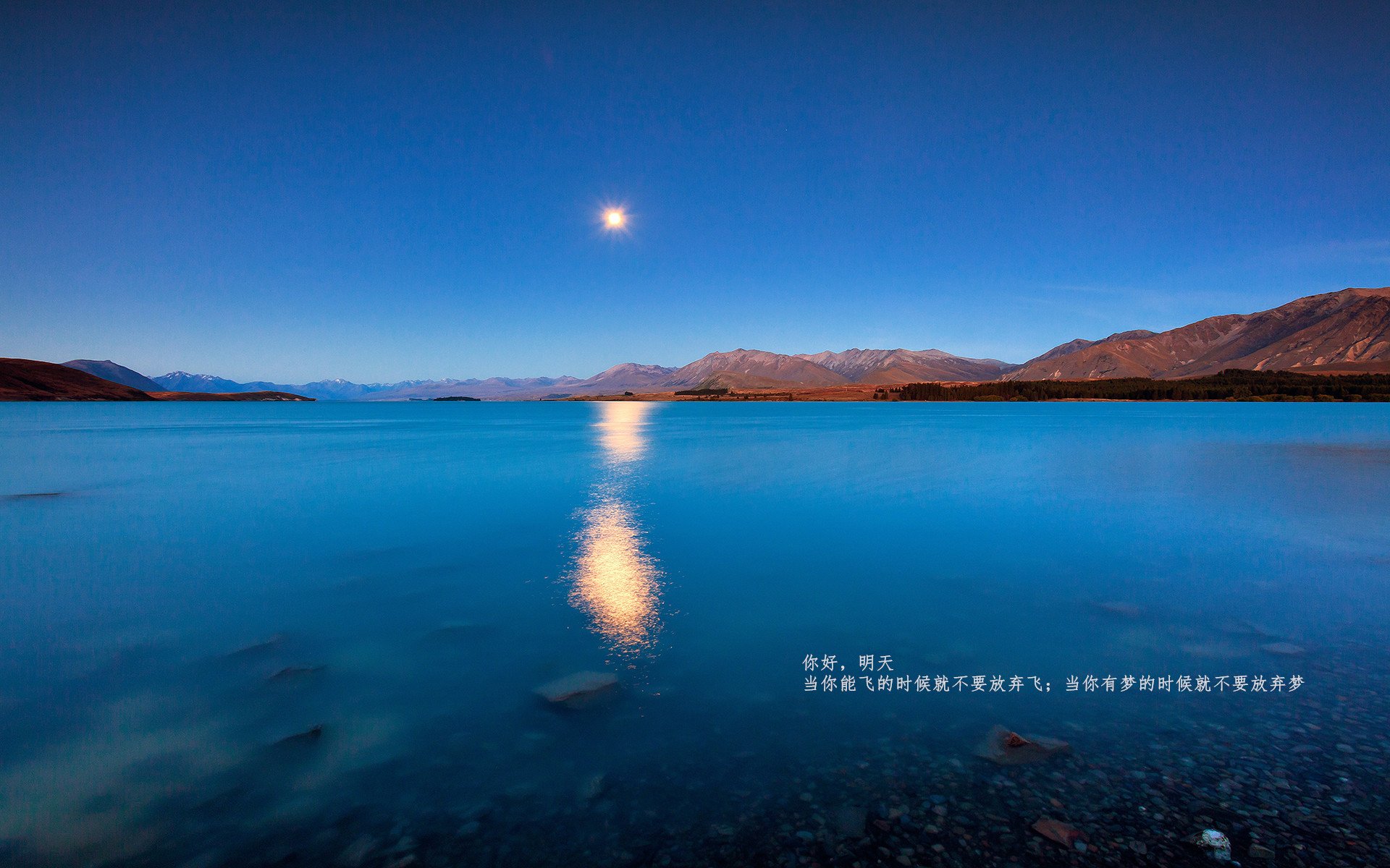 新王与旧主，辽宁铁骑正面击溃老鹰，小贾伦里程碑之夜见证东方力量