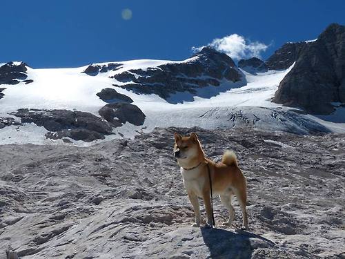 最锋利之矛与最坚固之盾，奥纳纳用双手扑灭国家德比的火焰