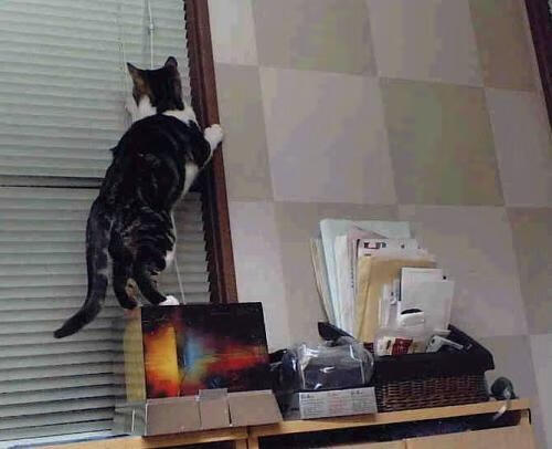 赛点,哈弗茨的杀死悬念与厄瓜多尔的末节奇迹