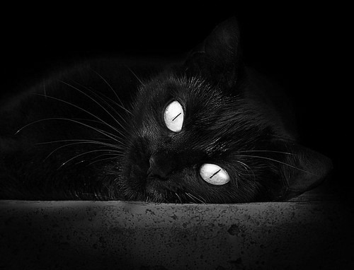 当恩比德精神降临黄龙,浙江队粉碎新疆队的制胜密码