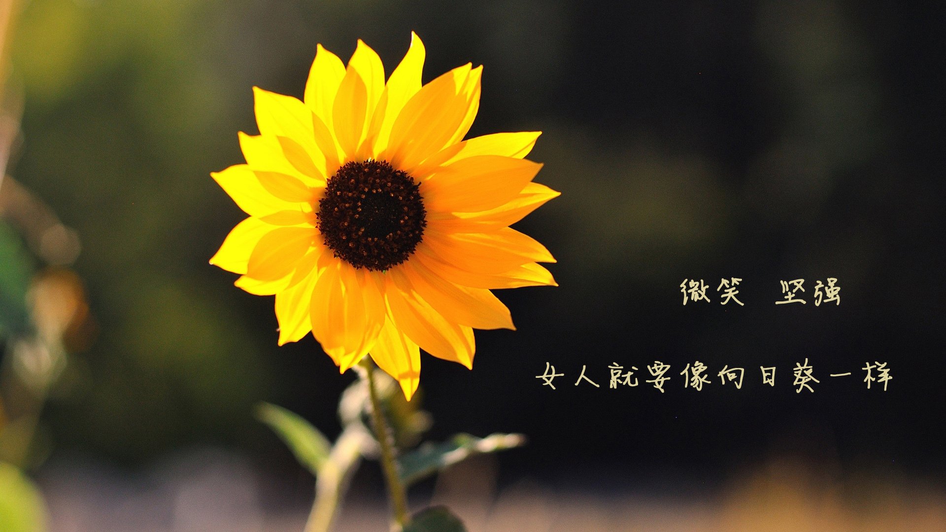 防线粉碎机!班凯罗48分打崩国王,鹈鹕迎来质变之战