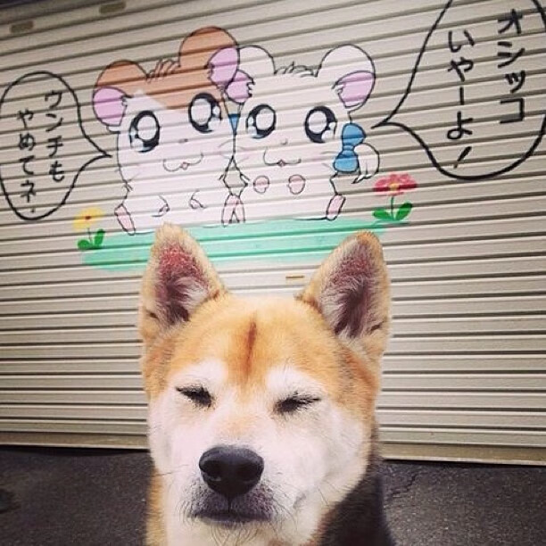 跨界生死战，那不勒斯在西决焦点中淘汰澳大利亚