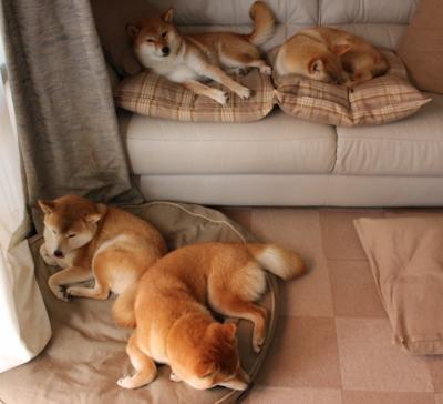 首先，我们扩展思维，为你构思一个充满画面感和史诗感的标题