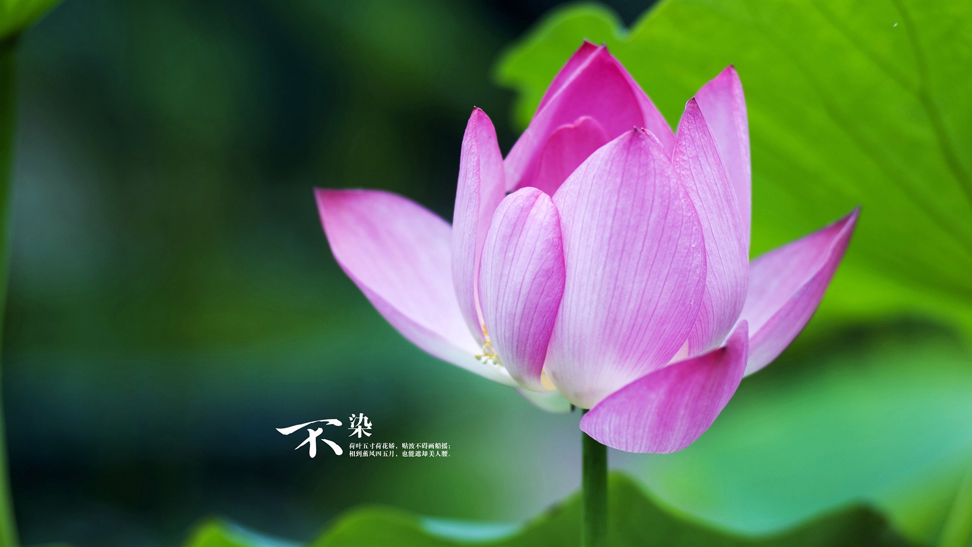东方奇迹，深圳队掀翻热火王朝，詹姆斯压制级发挥成华丽挽歌