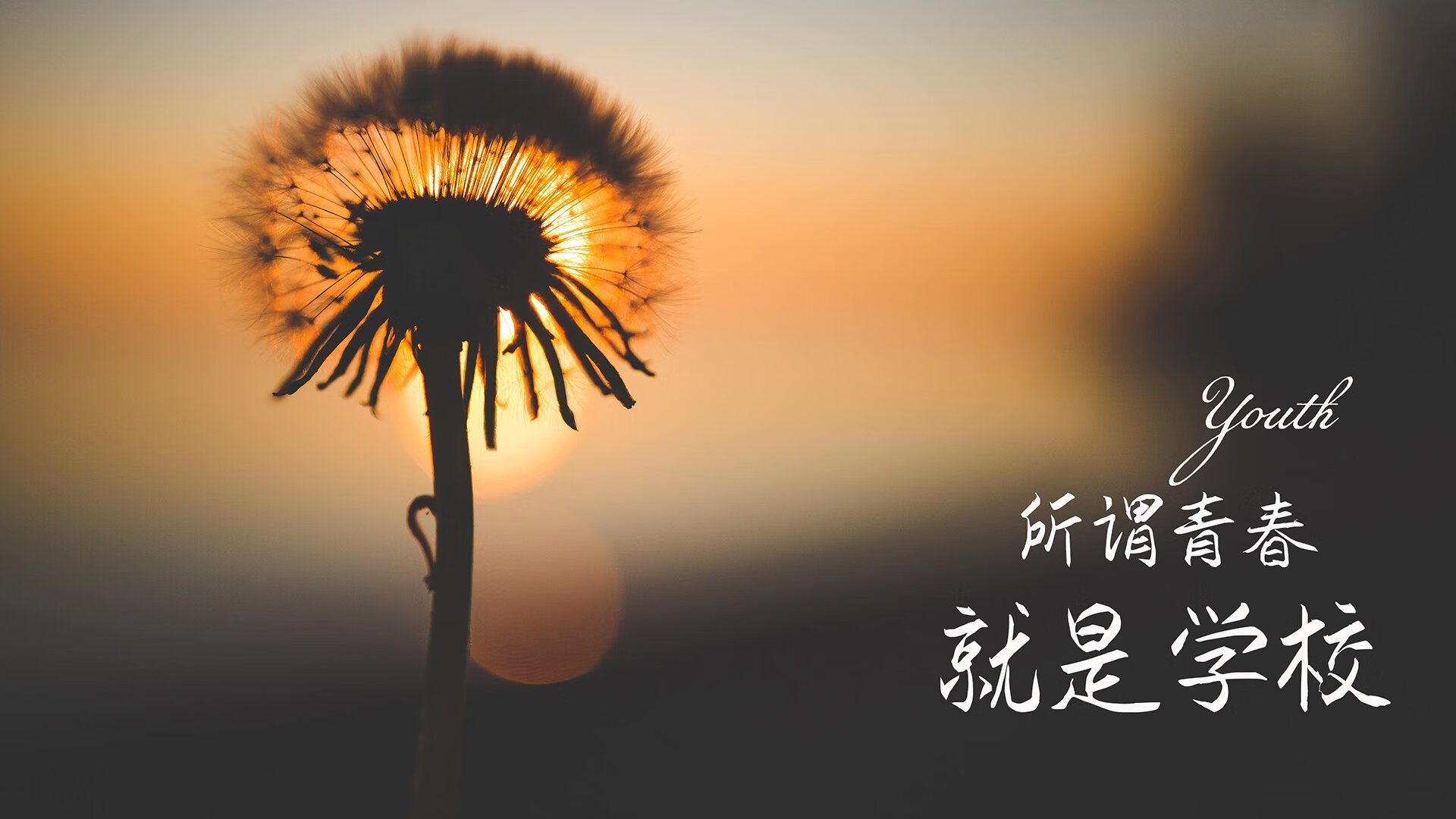 西决烽火，新疆之矛刺穿盐湖城之盾，唯一性生死战封神