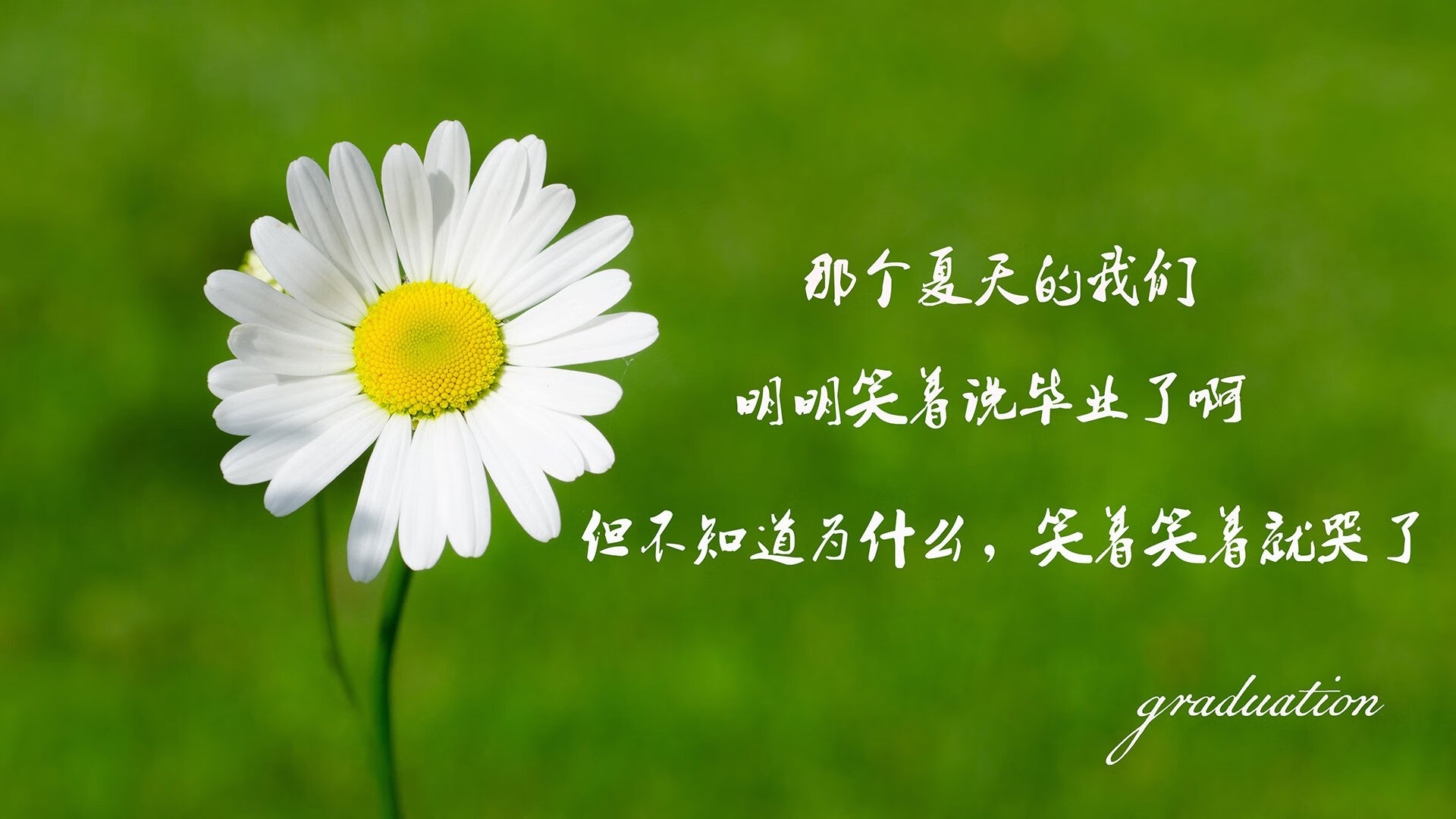 独步天下,穆西亚拉引领韩国破局,头名之争的冰与火之歌
