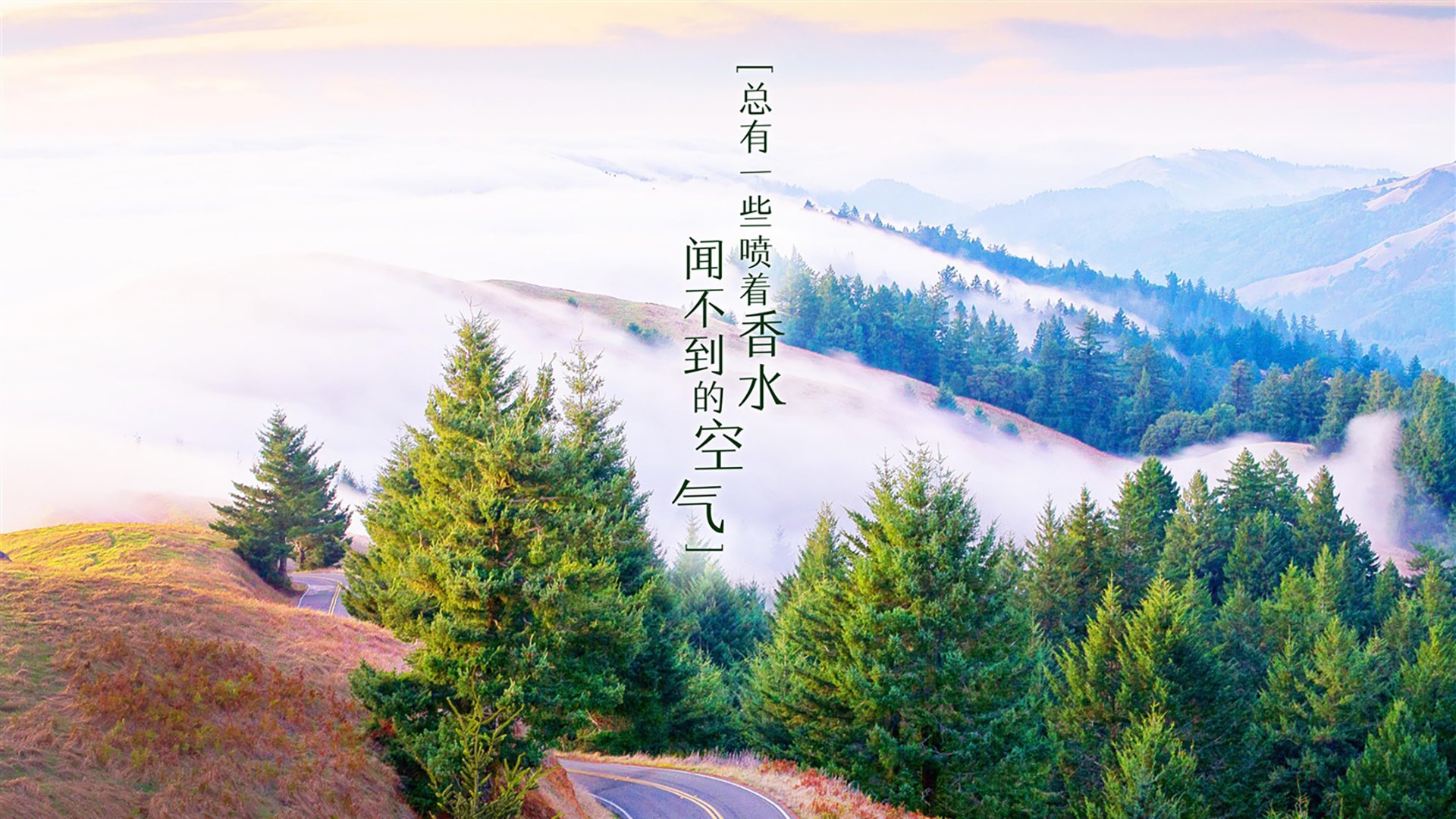 逆转之王再铸传奇，迪亚斯领衔稳定中场，克罗地亚2026世界杯1/4决赛绝地翻盘智利