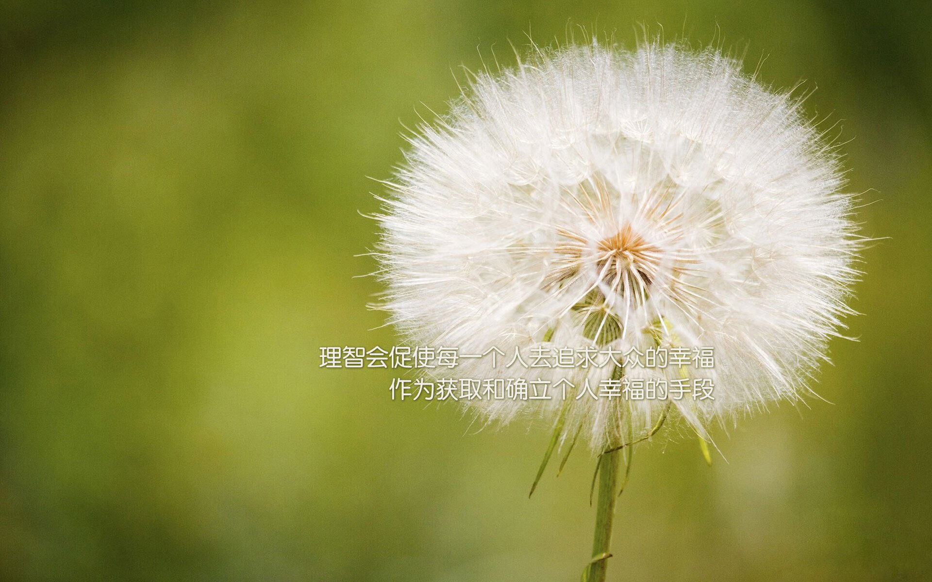 孤星耀世，福登穿针引线，门将神勇封神，乌兹别克斯坦爆冷掀翻智利改写2026世界杯E组格局