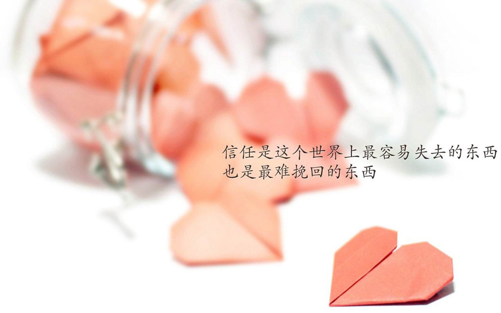 蓝衣折戟,太极虎啸,2026世界杯H组唯一对话,萨卡星光与门神神话共铸经典