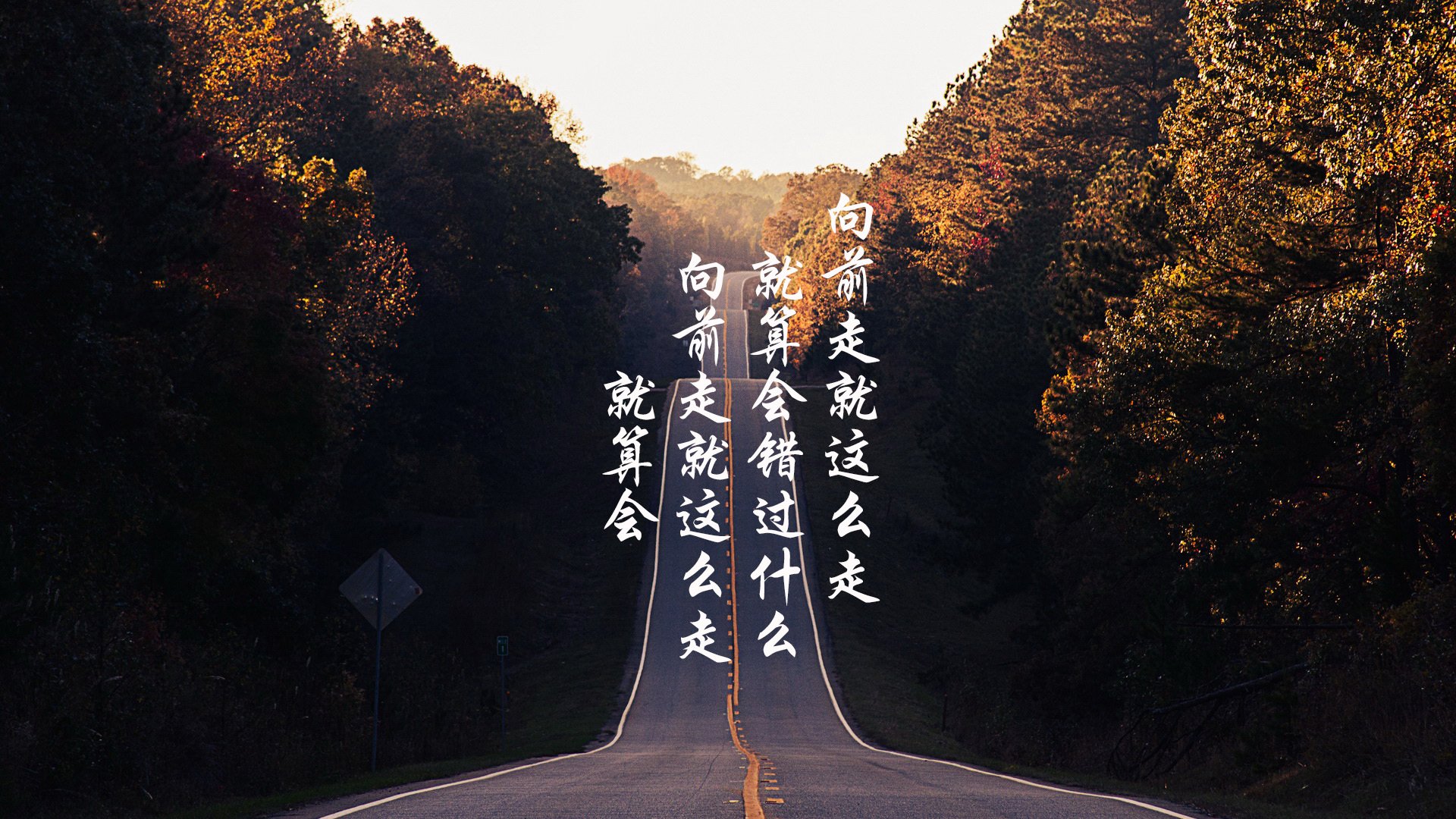 桑巴铁壁，2026世界杯E组，巴西的战术铁幕与穆西亚拉的个人英雄主义