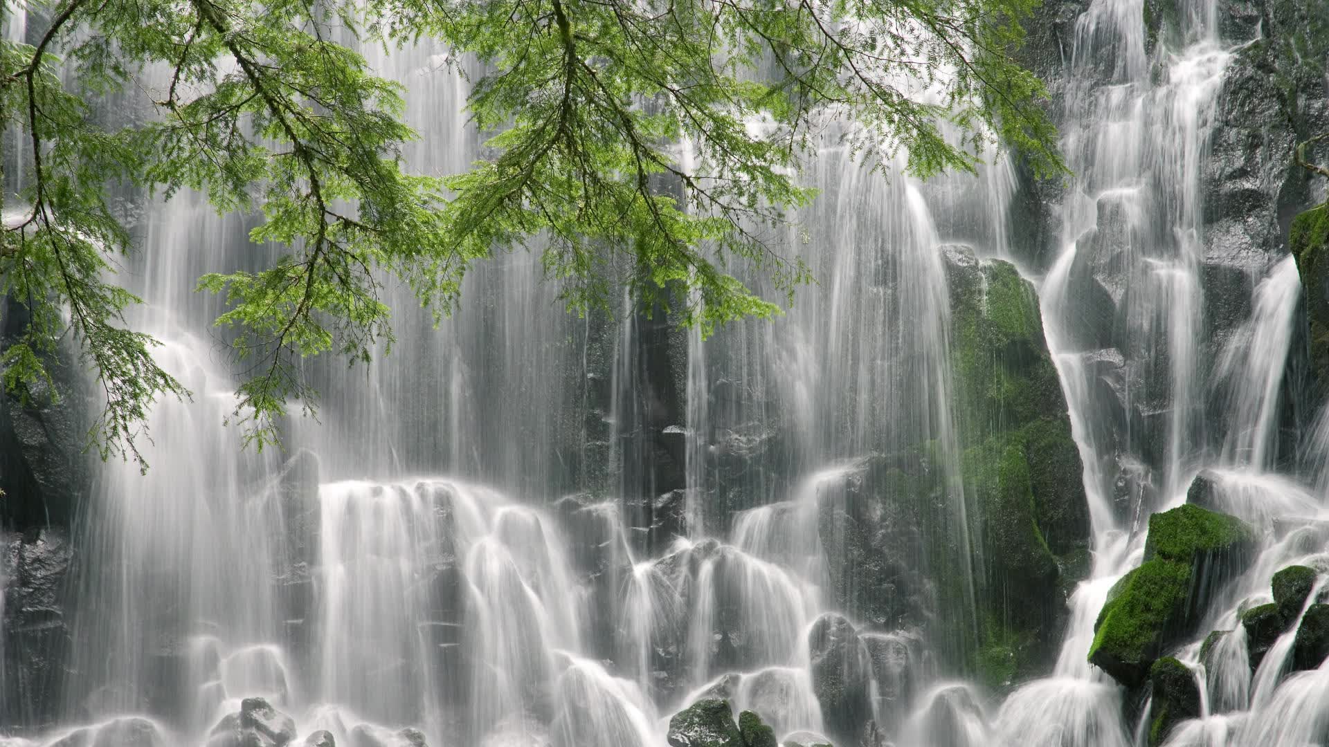 沙漠玫瑰与东南亚闪电的碰撞，齐耶赫用一脚传球，为2026世界杯A组写下唯一的注脚